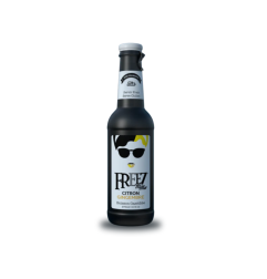 Freez Mix Citron-gingembre 27,5 cl